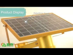 6W Integrated Apple Solar LED Street Lights Path Automatic Solar Garden Lights